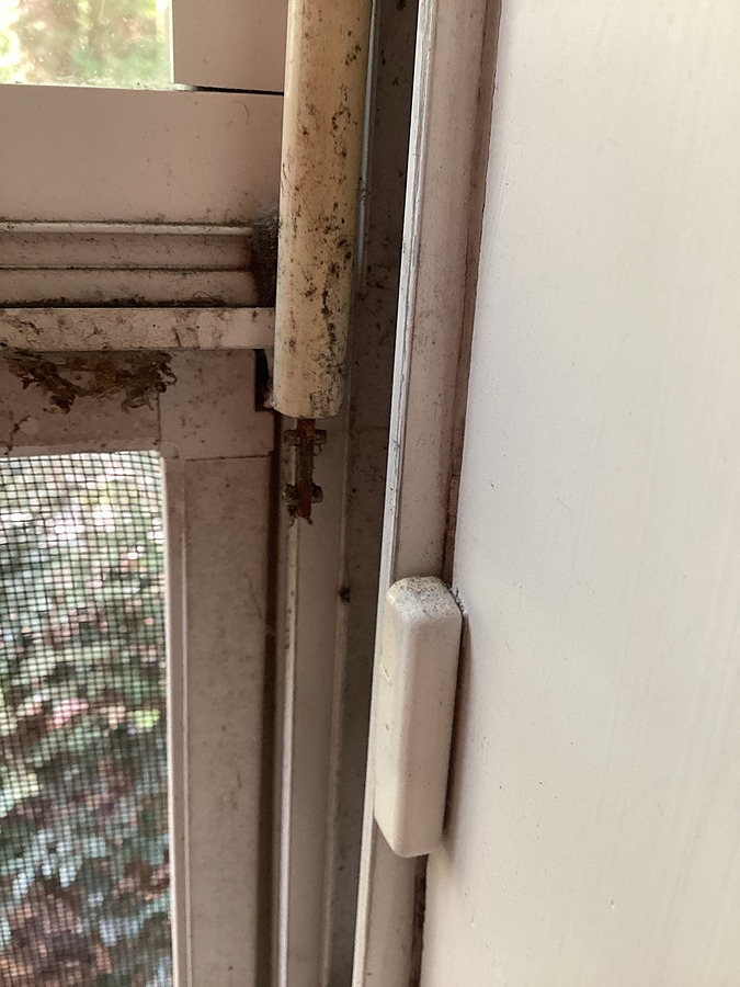 Window Spring 2